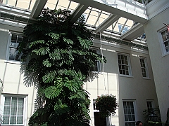 112 Longwood Gardens [2008 August 23]